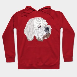 Bichon Frise Mix Dog Portrait on Red Hoodie